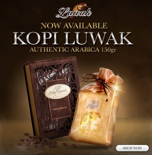 pamflet promosi kopi