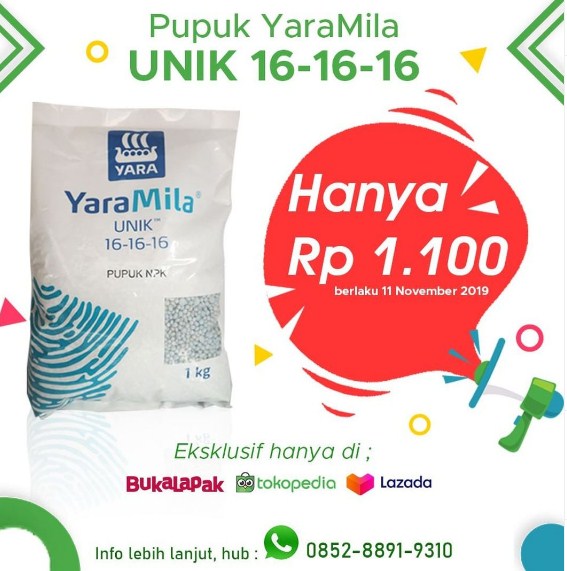 pamflet promosi pupuk