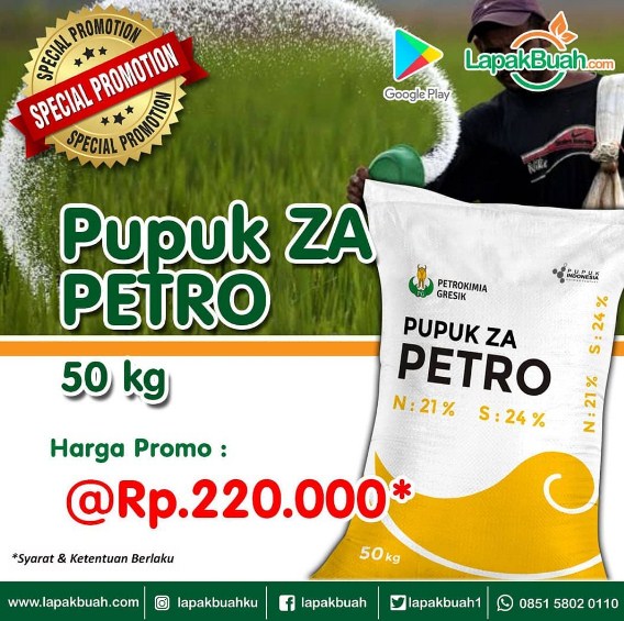 pamflet promosi pupuk