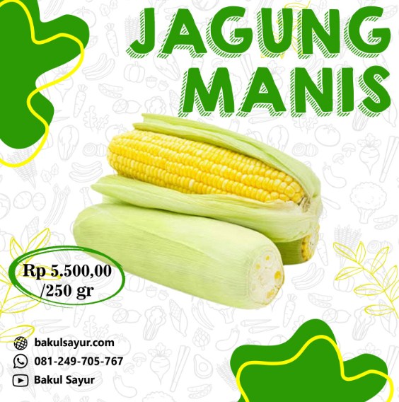 pamflet promosi jagung