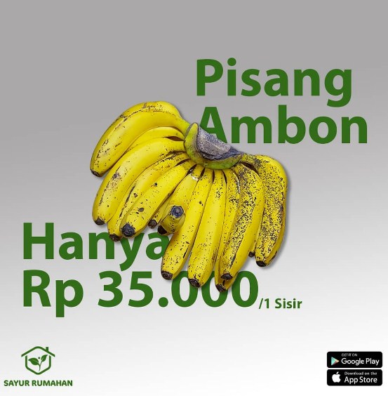 pamflet promosi pisang