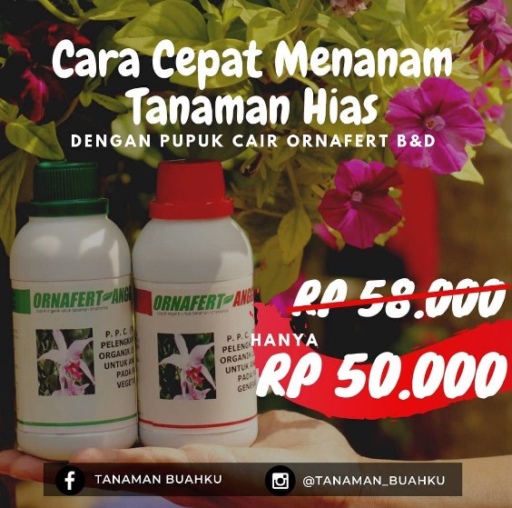 pamflet promosi pupuk