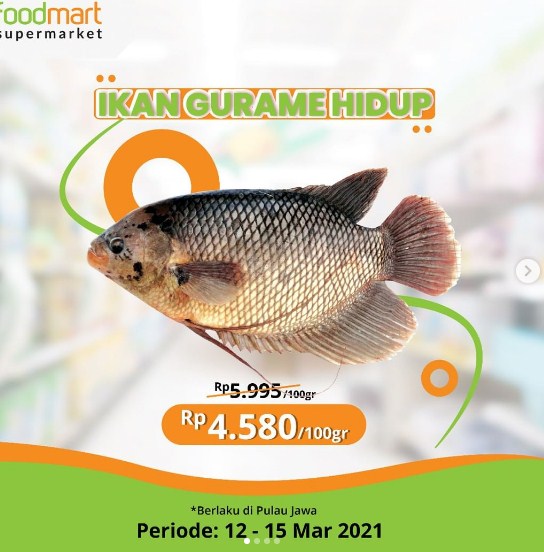 pamflet promosi ikan