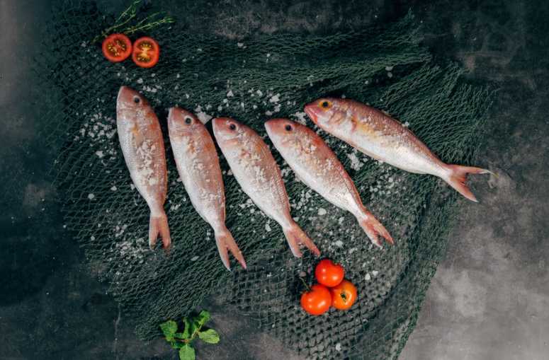 Ikan Nila