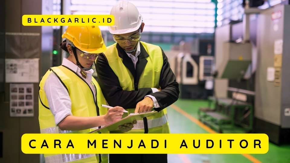 Cara Menjadi Auditor