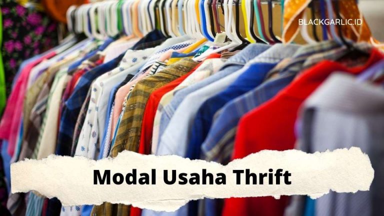 Modal Usaha Thrift : Ball Besar, Paket Kecil, Estimasi Keuntungan