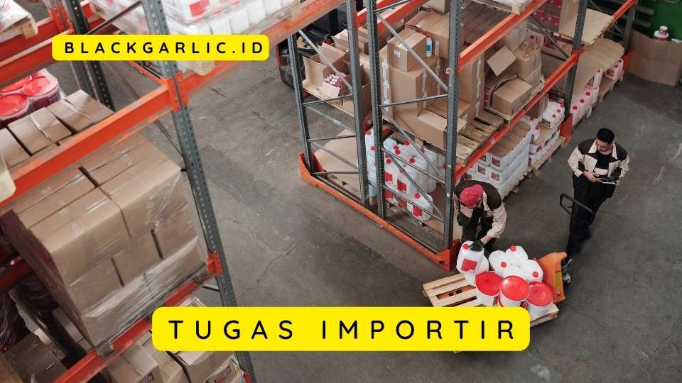 Tugas Importir