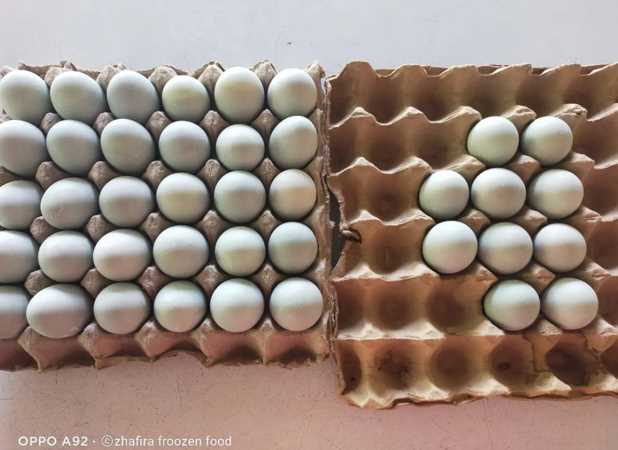 Telur Asin Dalam Egg Tray