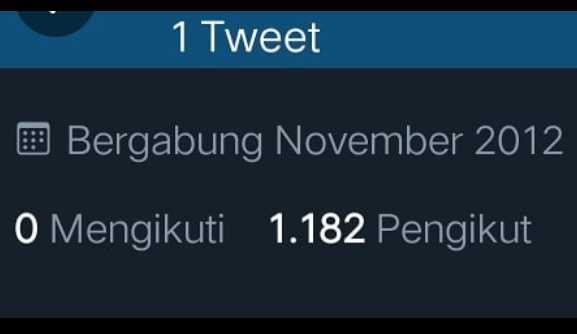 Promosi Akun Twitter 5