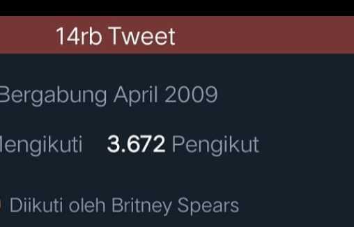 Promosi Akun Twitter 6