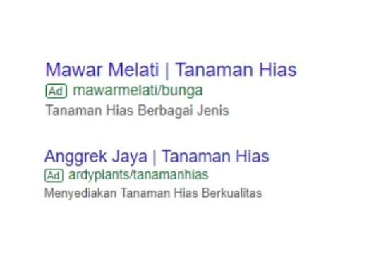 Contoh Gambar Promosi Tanaman Hias Di Google Ads 1 Edited