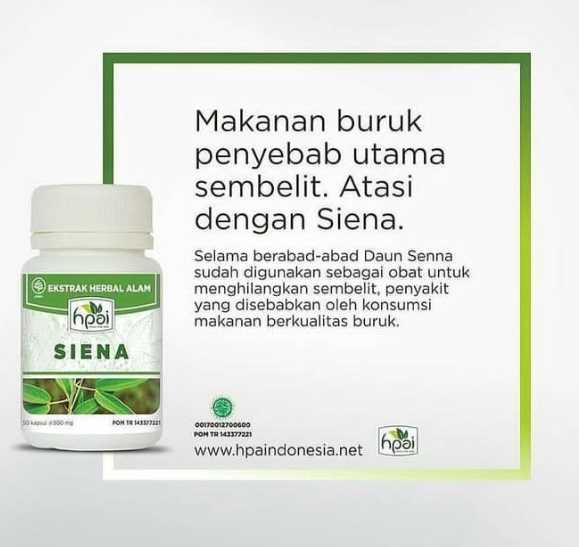 Promosi Obat Herbal 7