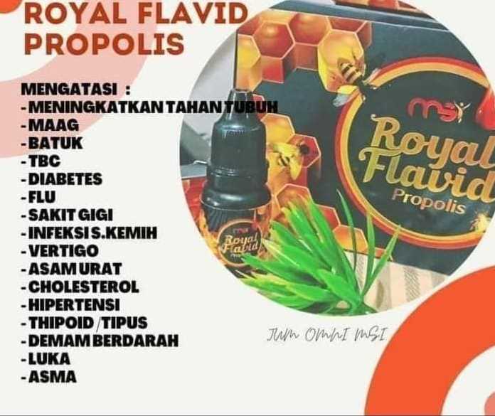 Promosi Obat Herbal 9