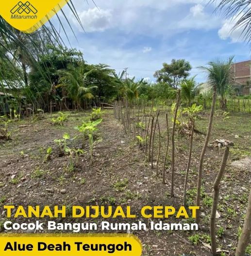 Promosi Tanah 7