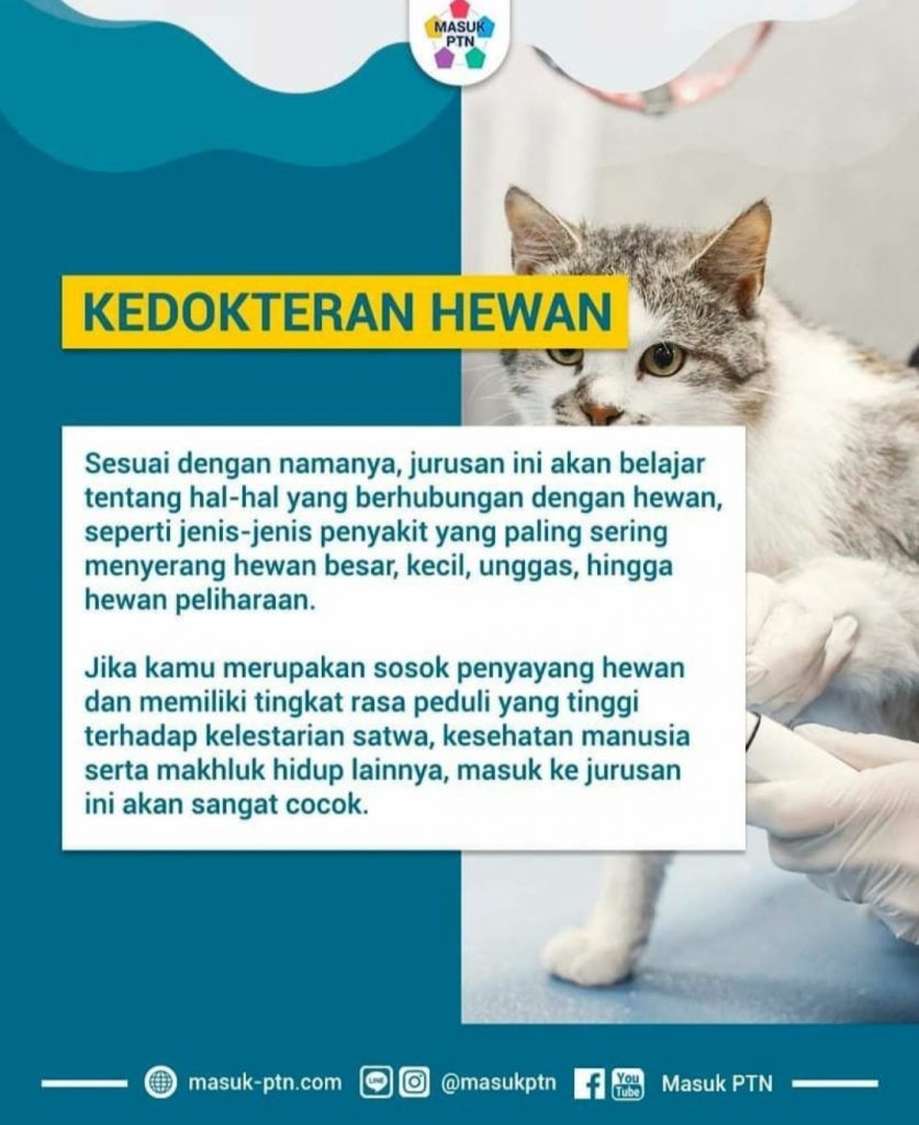 Promosi Jurusan Kesehatan 9