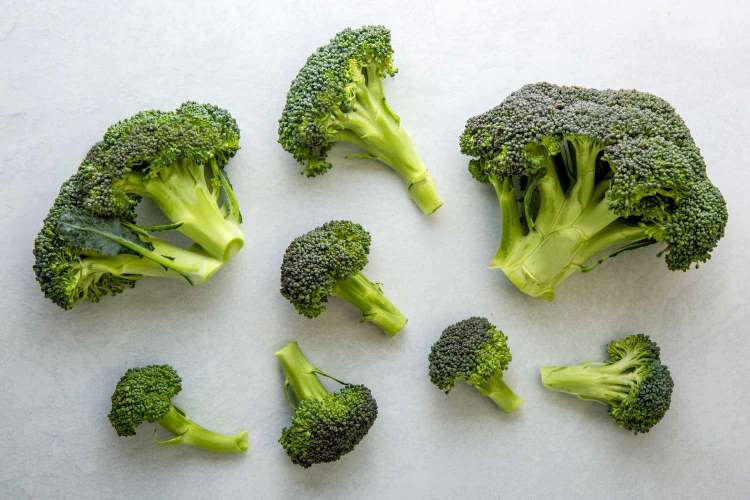 Kelebihan Usaha Brokoli Dan Tips Merawatnya Dengan Benar