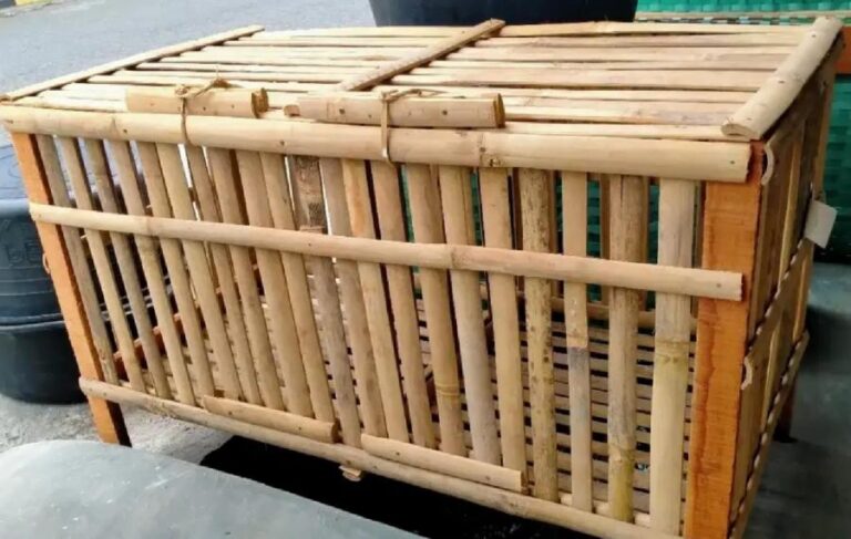 Peluang Bisnis Kerajinan Bambu Kandang Ayam dan Anyaman