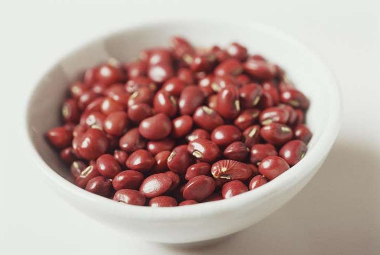 Potensi Usaha Kacang Merah Analisis Dan Peluang Yang Menjanjikan